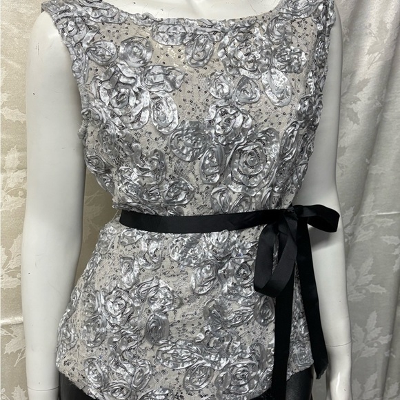 Vintage Onyx Nite Silver Sheath Bateau Neck Sleeveless Cocktail Top - Picture 2 of 7